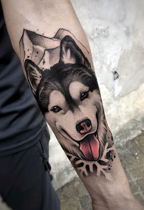 Husky tattoo on the arm of a man - photo