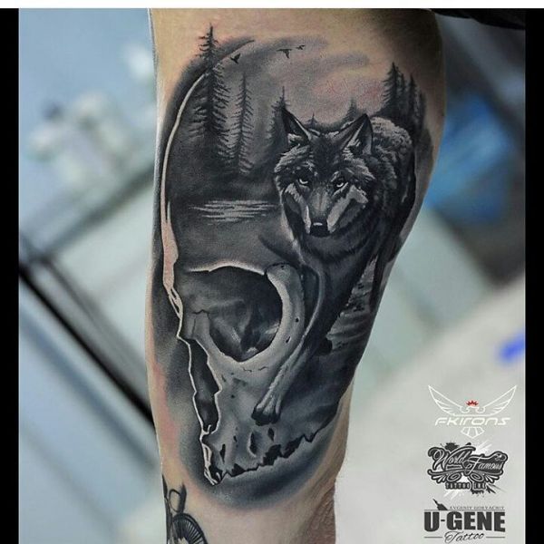 Tattoo picture of a wolf in the skull