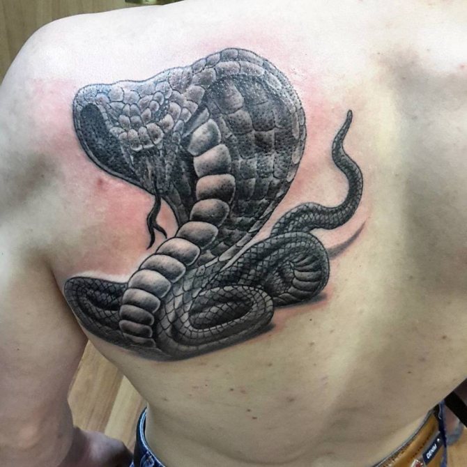 Tattoo of a cobra