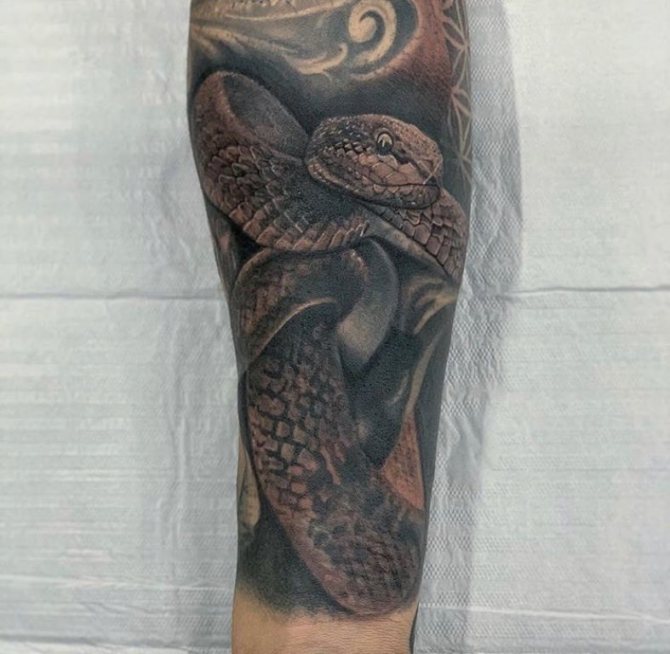 tattoo cobra