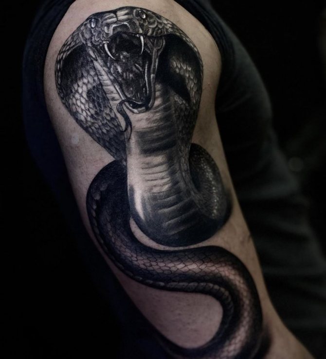 tattoo of cobra meaning