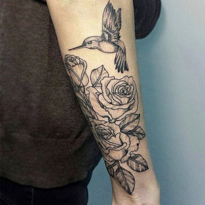 tattoo sketches hummingbird