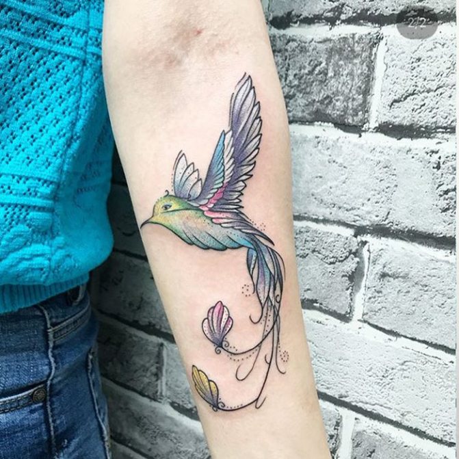 tattoo of a hummingbird graphic in color
