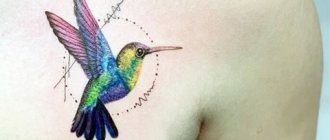 Tattoo hummingbird