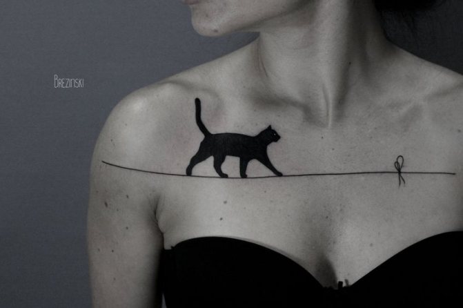 Tatuaj pisică schiță