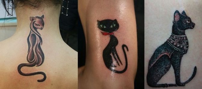 Schizzo del gatto del tatuaggio