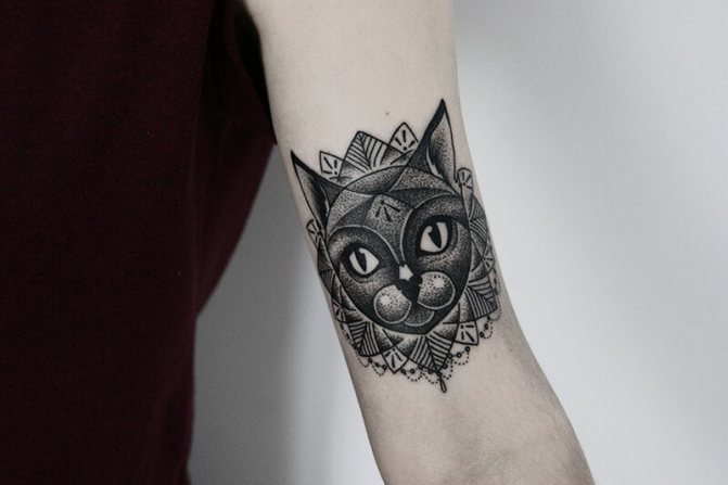 Tattoo cat - Tattoo cat - Tattoo cat - Tattoo cat