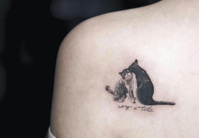 Tattoo cat - Portrait cat tattoo