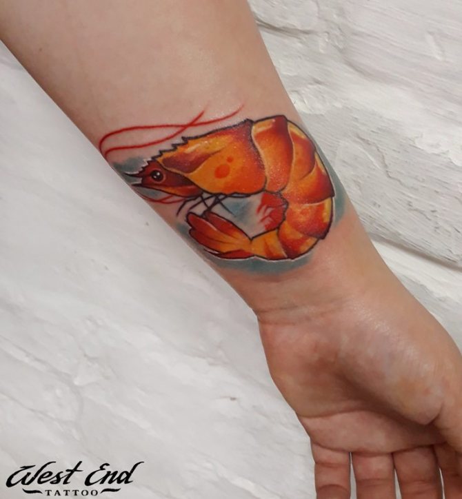 Tattoo of a shrimp in watercolor style