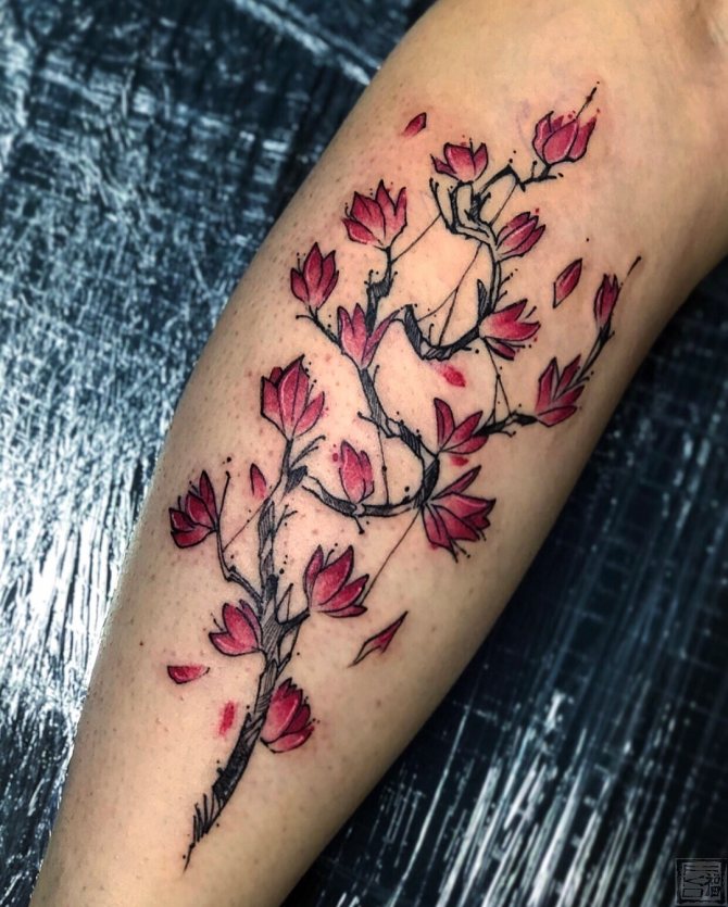 Tattoo of Cherry Petals on Leg
