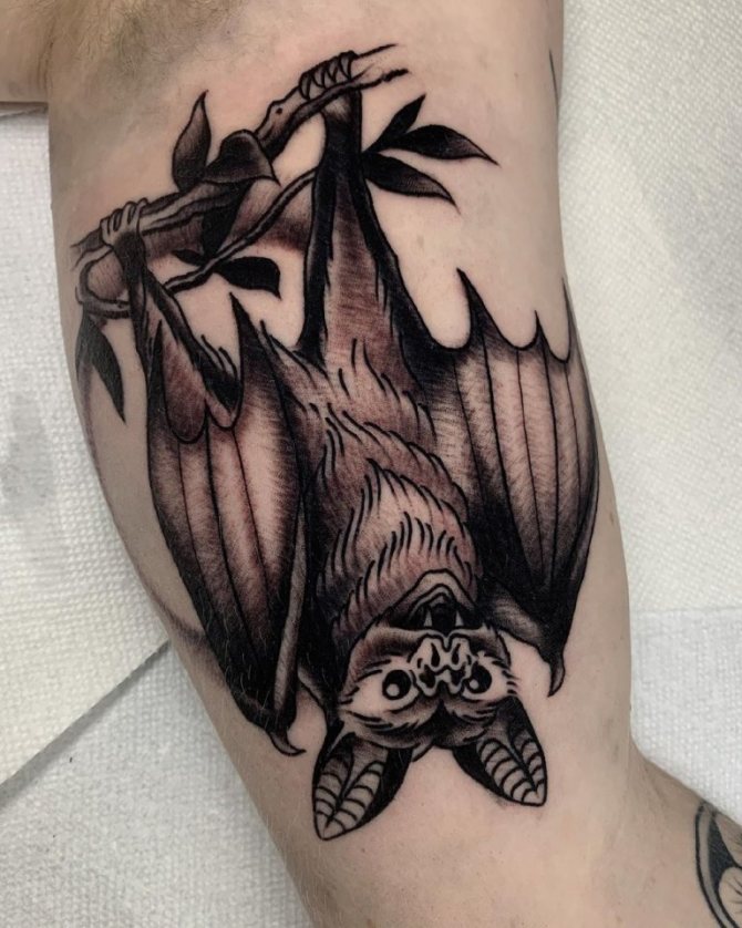 bat tattoo