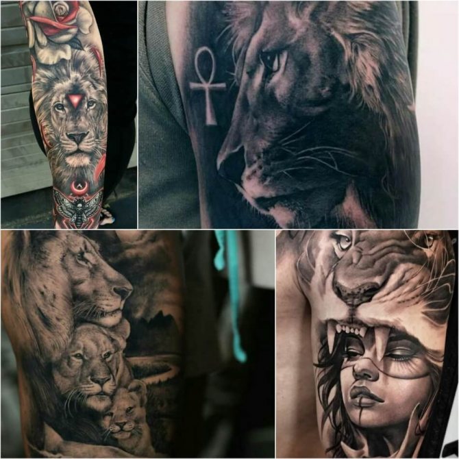 Tattoo Leo - Lion Tattoo for Men - Male Leo Tattoo