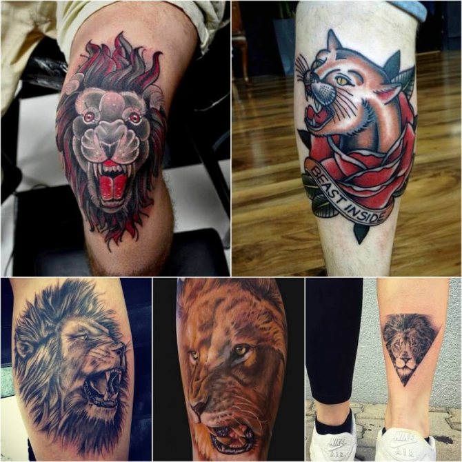 Tattoo Lion - Tattoo Lion on Leg - Tattoo of Lion on Leg