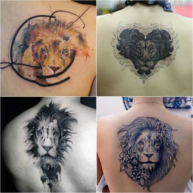 Tattoo Lion - Tattoo Leo on Back - Tattoo Leo on Back