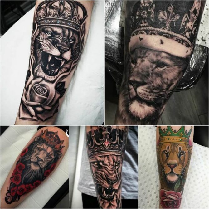 Tattoo of Lion - Tattoo of Lion with Crown - Tattoo of Lion with Crown