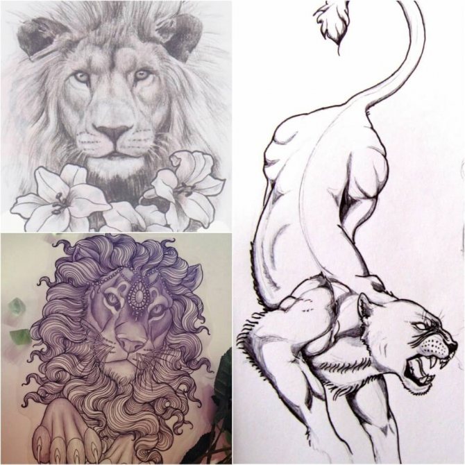 Tattoo Leo - Tattoo Leo Sketches - Examples of Sketches for Tattooing Leo