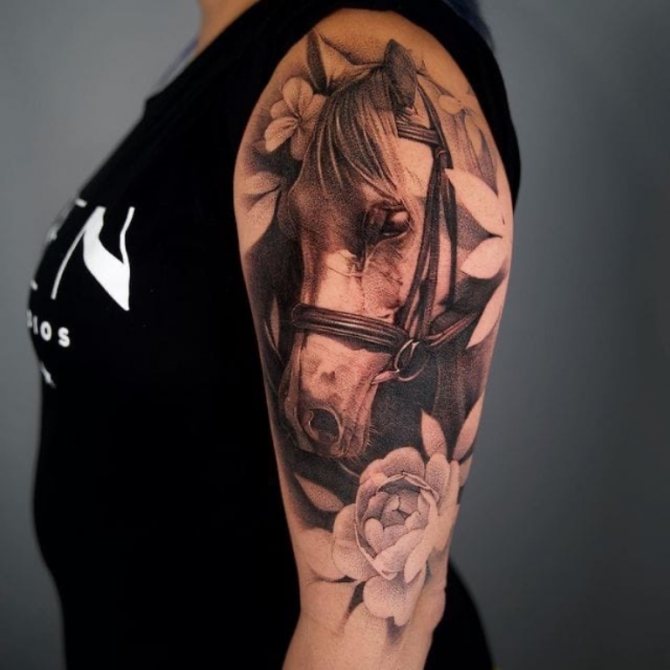 horse tattoo on the shoulder