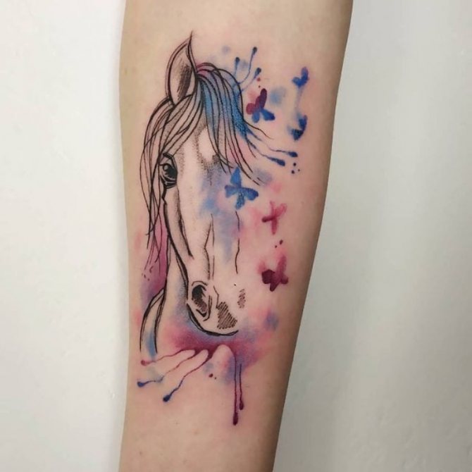 horse tattoo