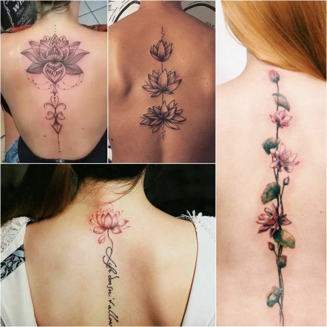 Tattoo Lotus - Means and Sketches of Tattoo Lotus - Tattoo Lotus for Girls