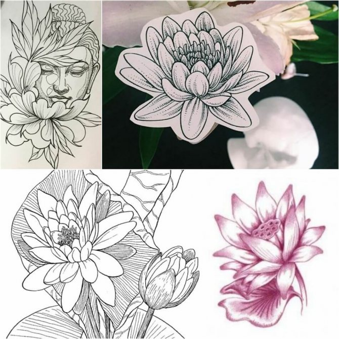 Tattoo Lotus - Means and Sketches of Tattoo Lotus - Tattoo Lotus Sketches
