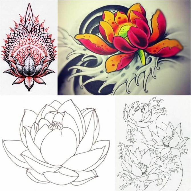 Tattoo Lotus - Means and Sketches of Tattoo Lotus - Tattoo Lotus Sketches