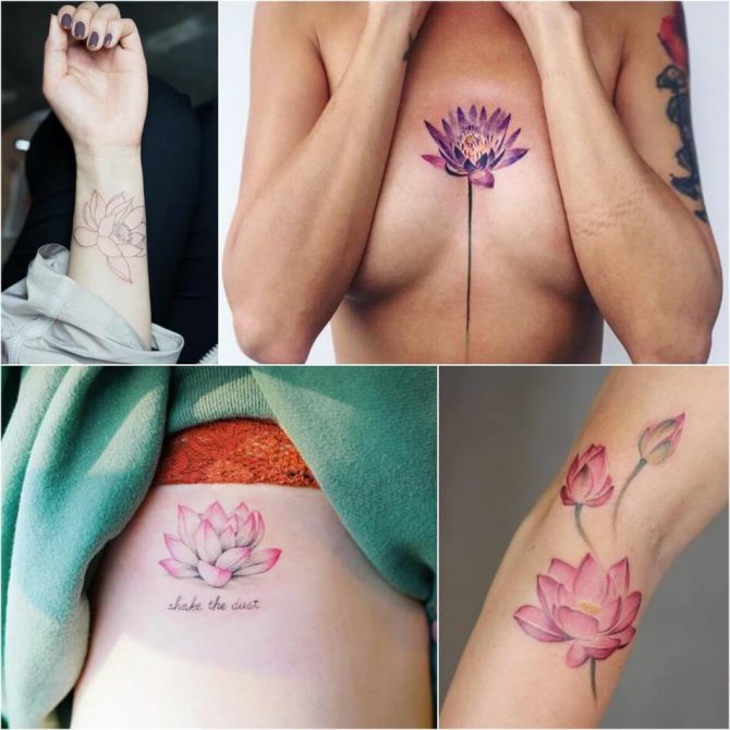 Lotus Tattoo - Meaning and Symbolism of Lotus Tattoo