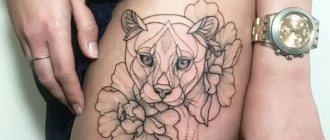 Tattoo of a lioness for girls. Meaning, photo on arm, leg, back, hip, shoulder, wrist, shoulder blade