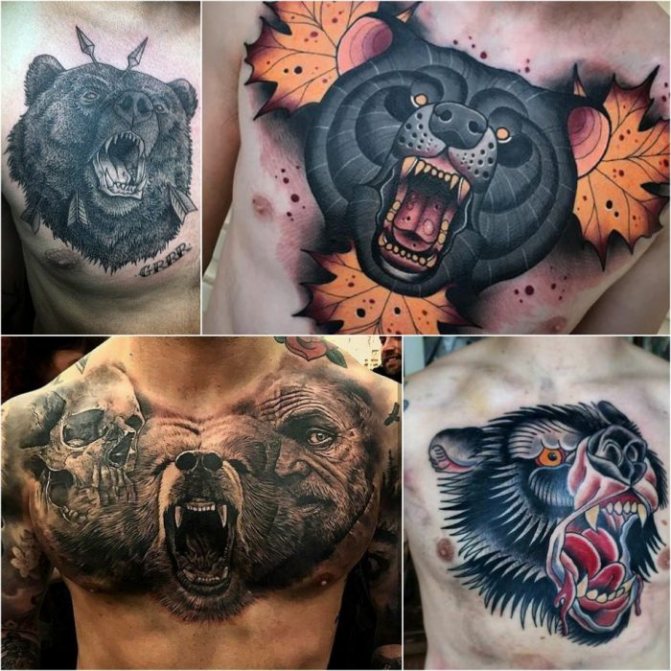 Bear tattoo - Bear tattoo on chest - Bear tattoo on chest
