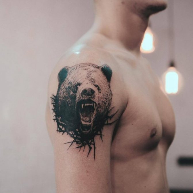 Tattoo Bear - Bear Tattoo - Meaning of tattoo bear