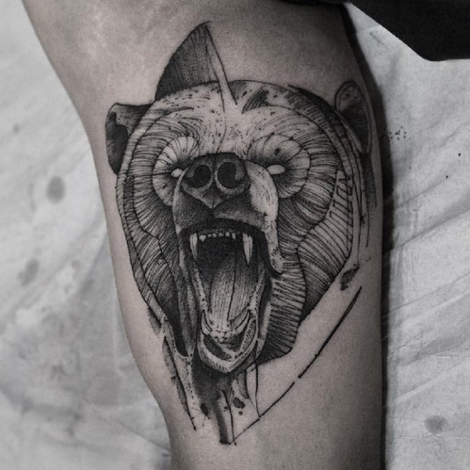 Tattoo Bear - Bear Tattoo - Meaning of tattoo bear