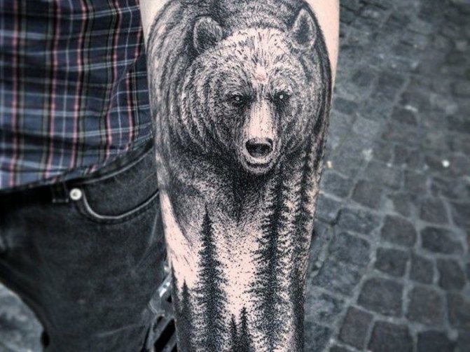 tattoo bear