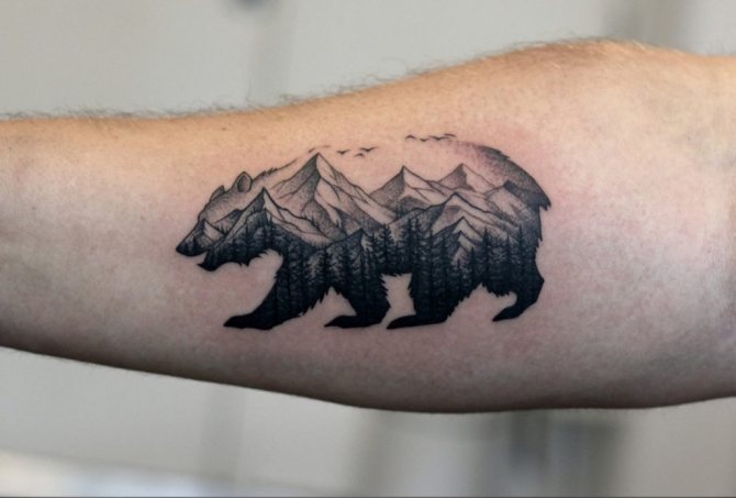 Tattoo Bear on your arm from Samovar Studio