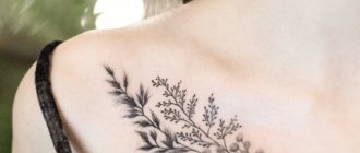 Tattoo on the collarbone for girls. Sketches, female inscriptions, patterns, birds, flowers, stars