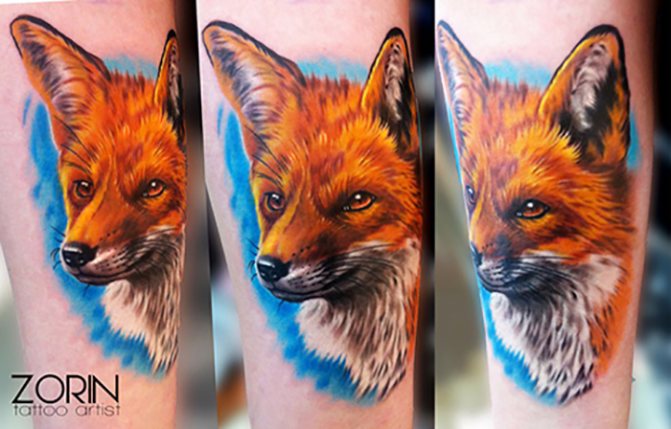 Realism fox tattoo on forearm