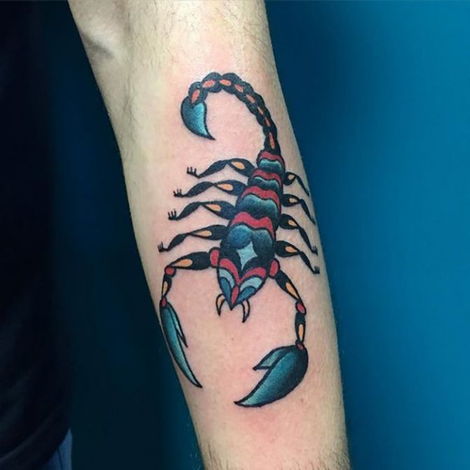 Color tattoo scorpion on forearm