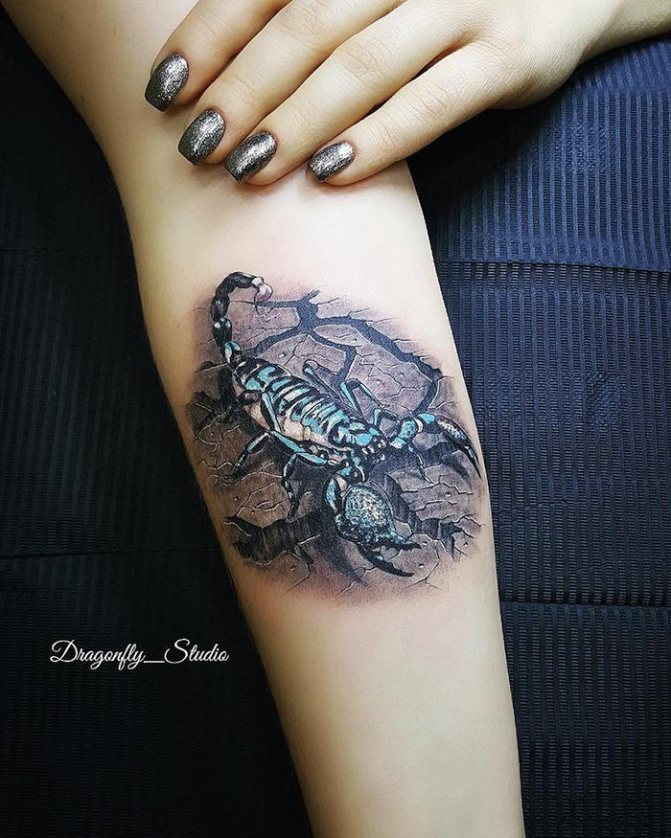 Tattoo blue scorpion on forearm