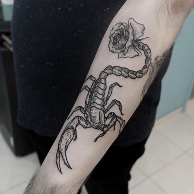 Tattoo Scorpion with Rose on Hand