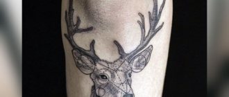 Tattoo stag