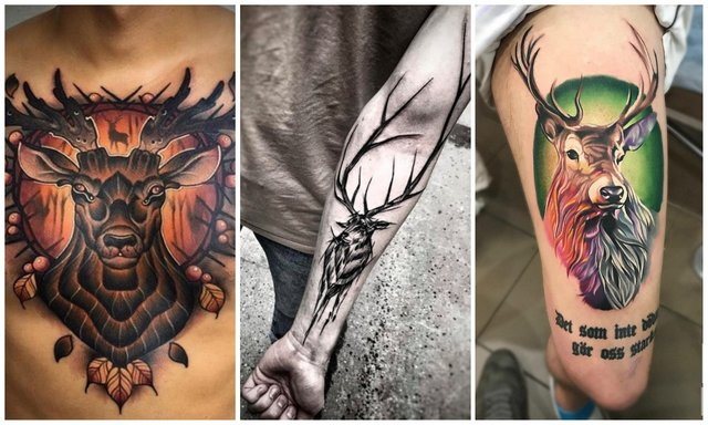Tattoo deer. Photo, what it means, sketches for girls, men on the arm, leg, thigh