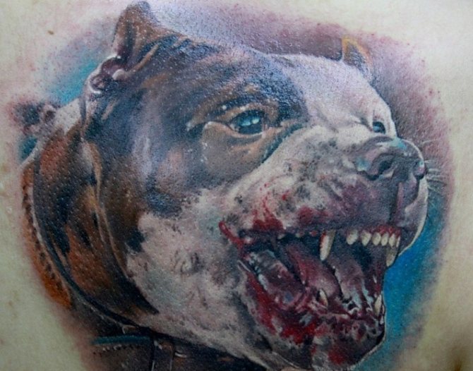 Tattoo pit bull grin