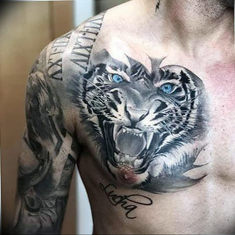Tattoo of a tiger grinning on his chest