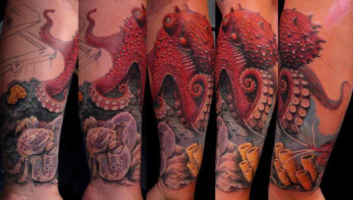 Tattoo meaning octopus