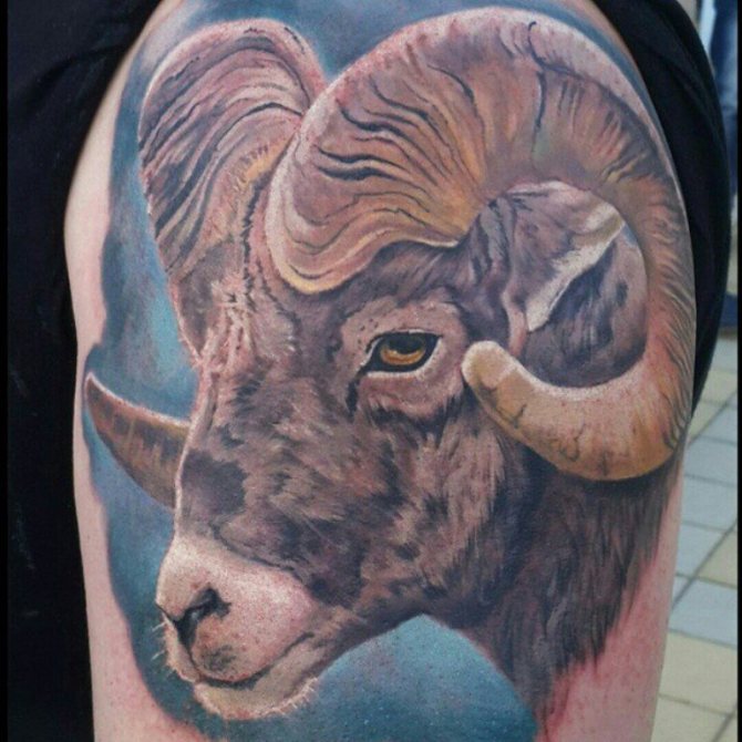 tattoo of aries sketches