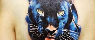 Tattoo of a panther for girls and men - meanings, ideas, sketches and photos