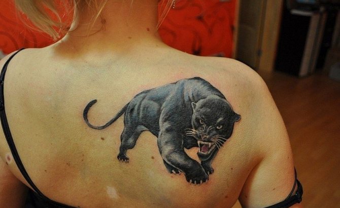 Panther tattoo on a girl
