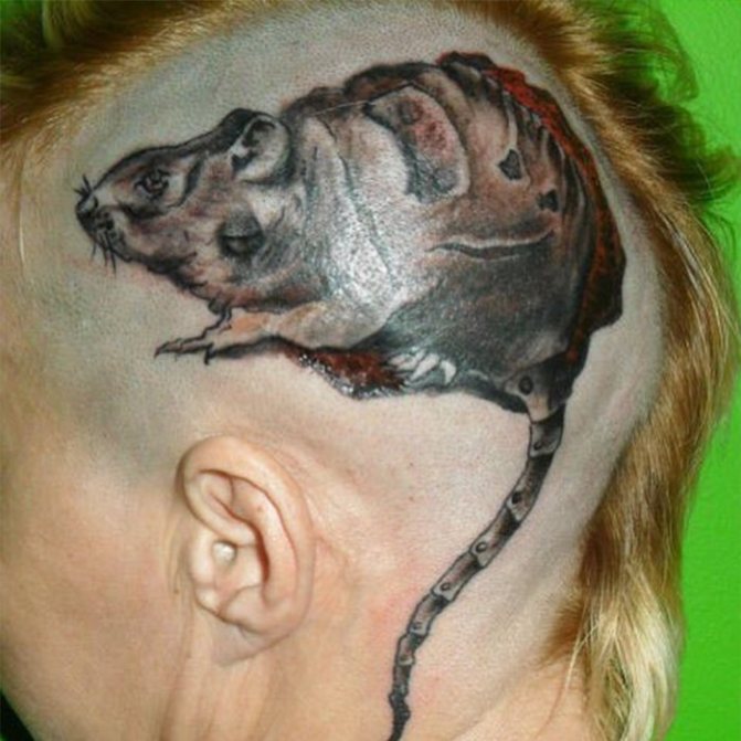 tattoo partak rat on his head