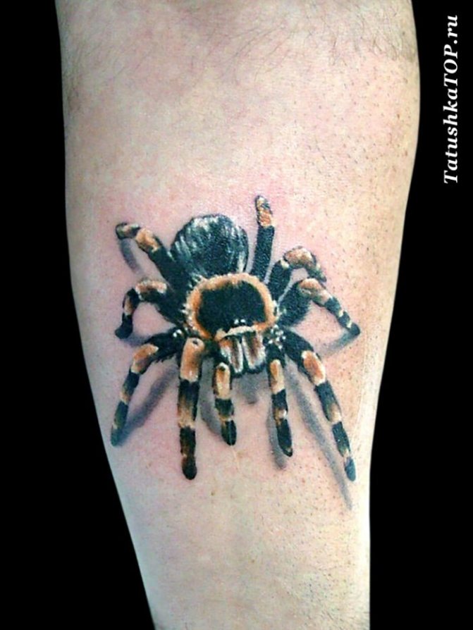 Realism spider tattoo on his shin