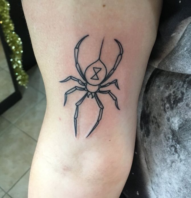 tattoo spider - tattoo spider - meaning tattoo spider - tattoo spider sketches - tattoo with spider photo