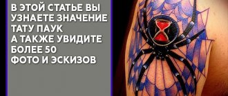 Tattoo meaning of a spider