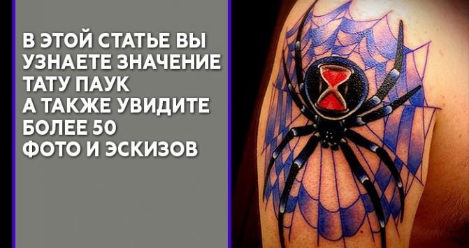 Significato del tatuaggio di un ragno
